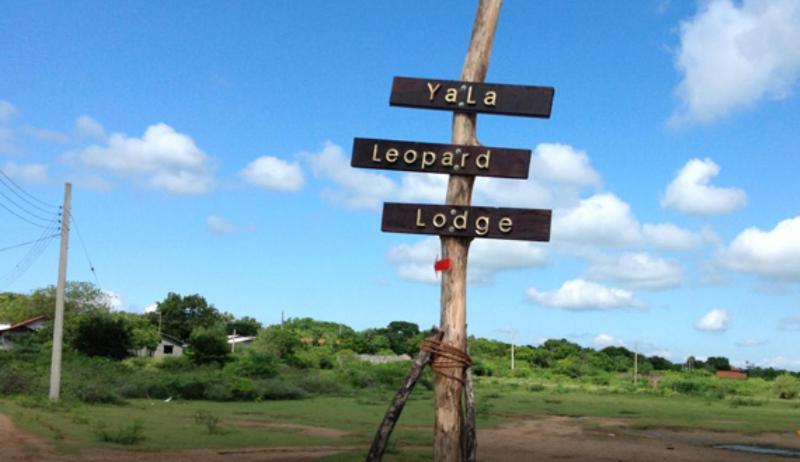 Yala Leopard Lodge Εξωτερικό φωτογραφία